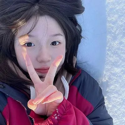 铁马冰河入梦来